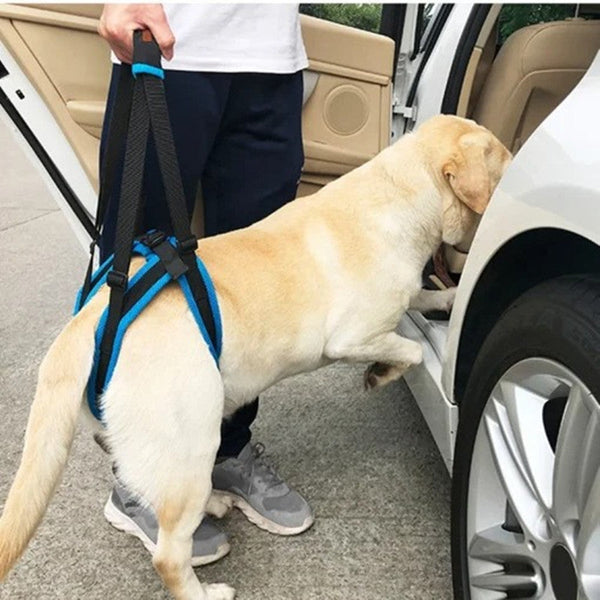 HKM-5067837 Adjustable Dog Hind Leg Support Harness for Easy Walking and Mobility