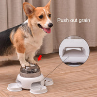HKM-5072317 Automatic Pet Feeder Dispenser for Dogs - Upgrade Options Available