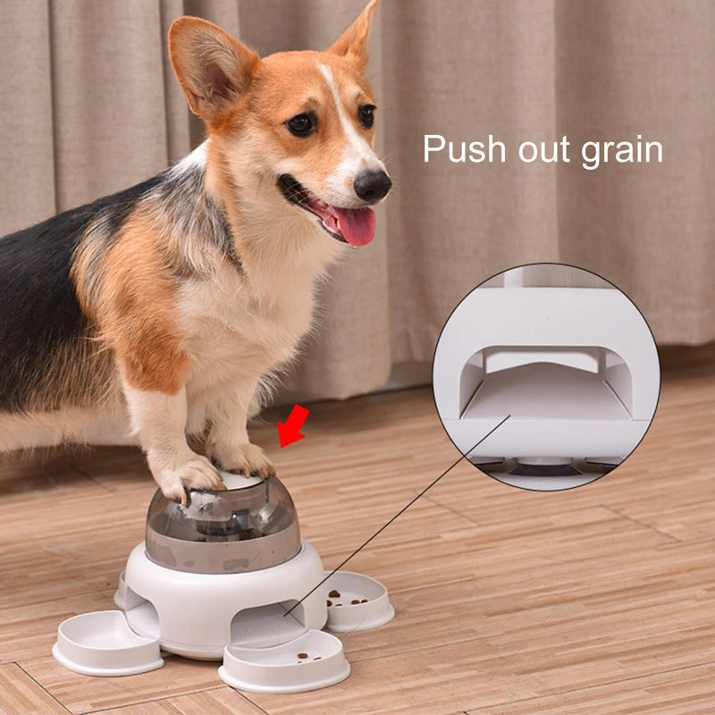 HKM-5072317 Automatic Pet Feeder Dispenser for Dogs - Upgrade Options Available