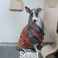 HKM-5074109 Trendy Denim Blue, Rust Red, and Military Green Vest for Dogs with Adjustable Elastic Harness, Sizes 3-5
