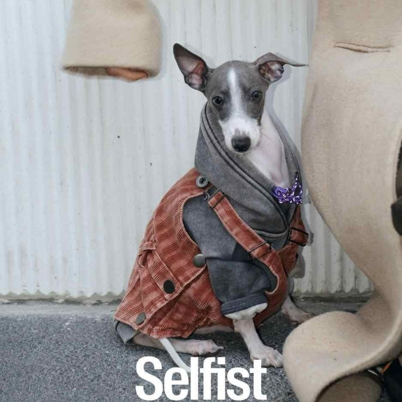 HKM-5074109 Trendy Denim Blue, Rust Red, and Military Green Vest for Dogs with Adjustable Elastic Harness, Sizes 3-5