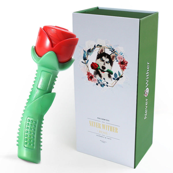 HKM-5079101 Red TPE Molar Stick Dog Toy in Gift Box for Chewing and Playtime