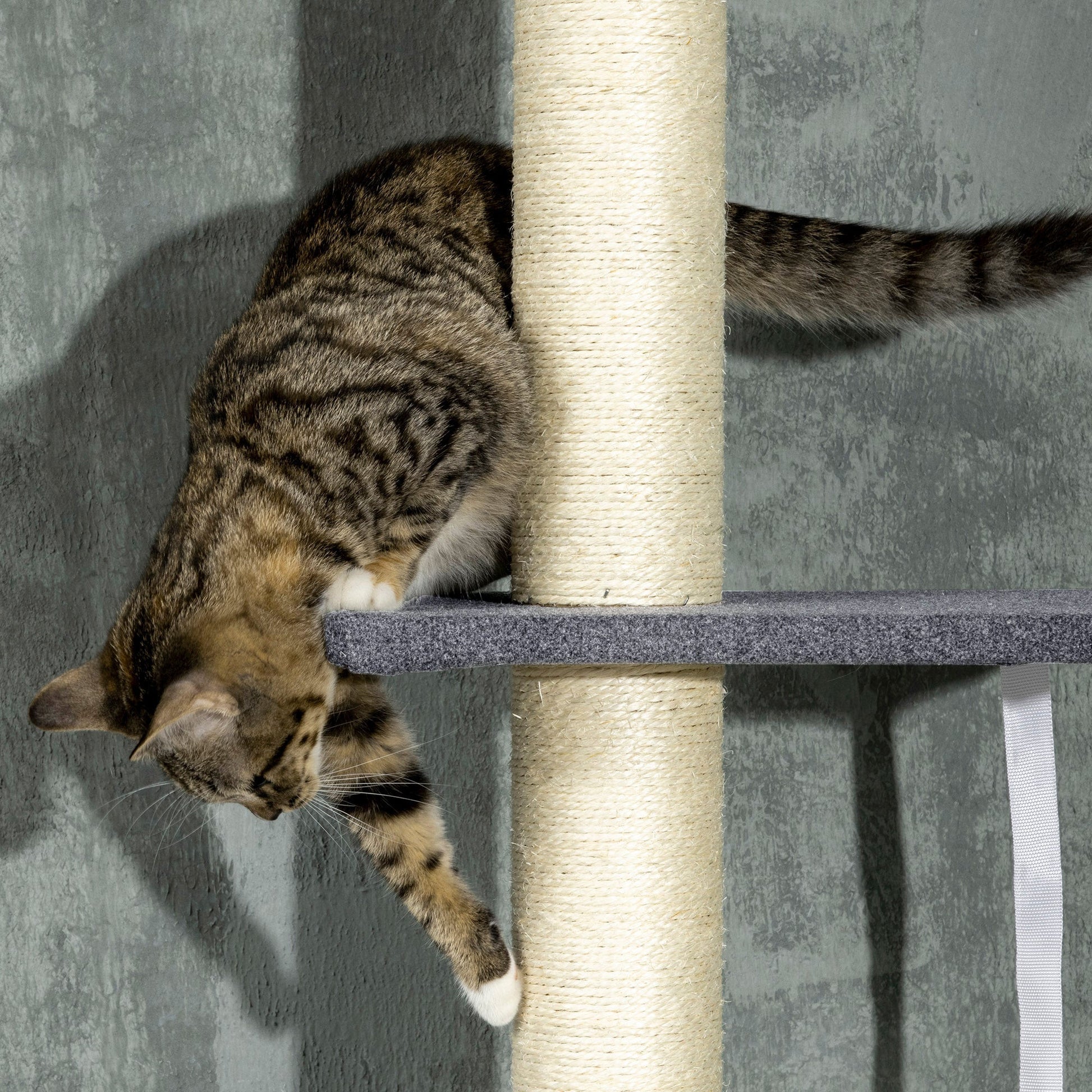 HKM-5083325 Adjustable Floor-to-Ceiling Cat Tree with Multi-Level Platforms, Scratching Posts, and Cozy Hammock - Dark Gray and Cream