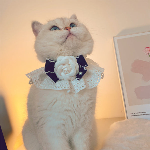 HKM-5087805 Fashion Cat Lace Neck Collar with Bow - Available in White and Black Options, Various Sizes