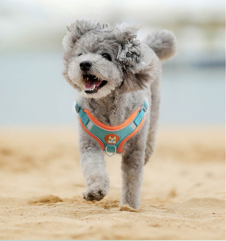 HKM-5089085 Chest Strap Pet Leash Vest for Small to Medium Dogs, Soft Cotton in Multiple Colors