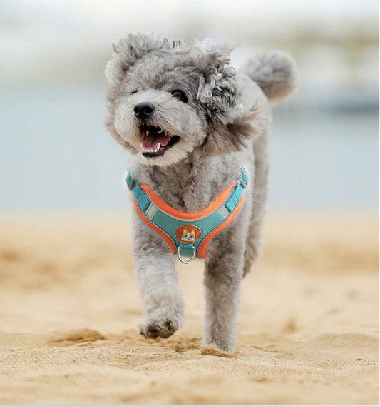 HKM-5089085 Chest Strap Pet Leash Vest for Small to Medium Dogs, Soft Cotton in Multiple Colors