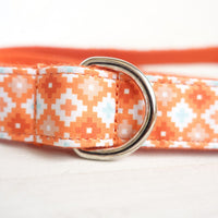 HKM-5089597 Durable Polyester Leash for Medium and Large Dogs