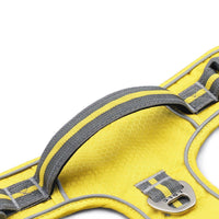 HKM-5090365 Explosion-Proof Nylon Pet Chest and Back Harness with Shock Absorption and Night Vision Reflective Features