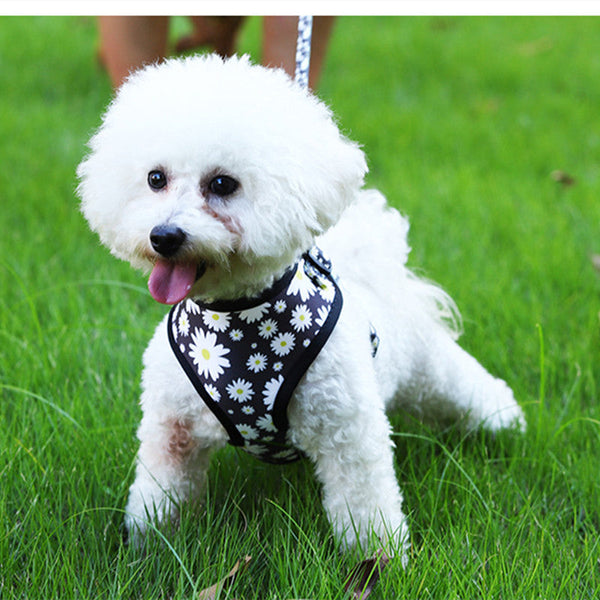 HKM-5094845 Stylish Breathable Dog Harness and Leash Set with Adjustable Fit