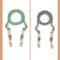 HKM-5095357 Nylon Pet Leash for Small to Medium Dogs in Shadow White and Wizard of Oz Green