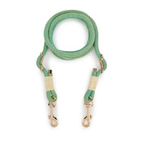 HKM-5095357 Nylon Pet Leash for Small to Medium Dogs in Shadow White and Wizard of Oz Green