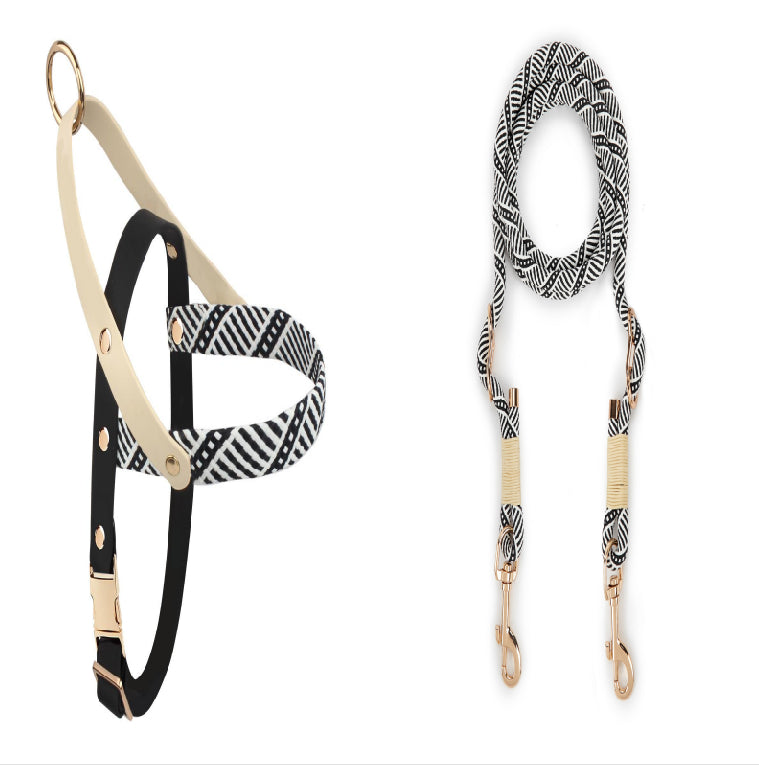 HKM-5095357 Nylon Pet Leash for Small to Medium Dogs in Shadow White and Wizard of Oz Green