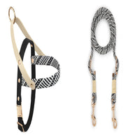 HKM-5095357 Nylon Pet Leash for Small to Medium Dogs in Shadow White and Wizard of Oz Green