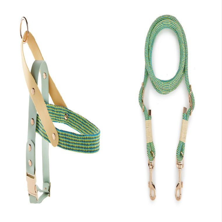 HKM-5095357 Nylon Pet Leash for Small to Medium Dogs in Shadow White and Wizard of Oz Green