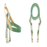 HKM-5095357 Nylon Pet Leash for Small to Medium Dogs in Shadow White and Wizard of Oz Green