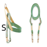 HKM-5095357 Nylon Pet Leash for Small to Medium Dogs in Shadow White and Wizard of Oz Green