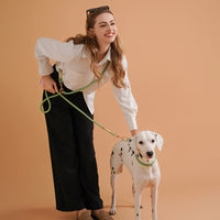 HKM-5095357 Nylon Pet Leash for Small to Medium Dogs in Shadow White and Wizard of Oz Green