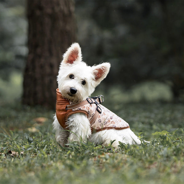 HKM-5100093 Warm Cotton-Padded Dog Clothes for Winter - Dark Blue & Amber, Sizes S to 2XL