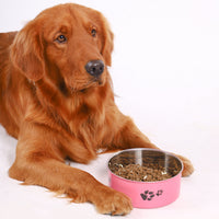 HKM-5101501 Large Capacity Stainless Steel Dog Bowl - Anti-Tumble Design for Cats
