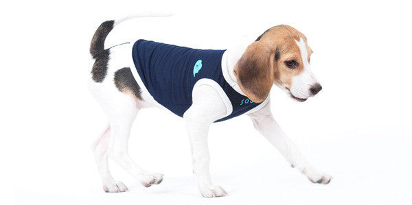 HKM-5105469 Gray Cotton Dog Vest for Pets - Comfortable Two-Legged Clothing in Various Sizes