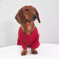 HKM-5106877 Cozy Stretch Base Layer for Dogs and Cats - Autumn/Winter Apparel