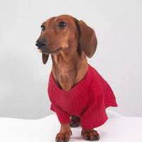 HKM-5106877 Cozy Stretch Base Layer for Dogs and Cats - Autumn/Winter Apparel