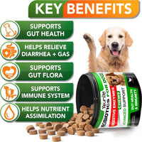 HKM-5107133 Probiotics Soft Chews for Dogs - Supports Seasonal Allergies, Gut and Digestive Health