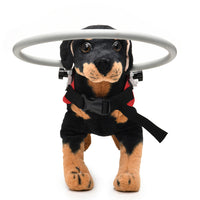 HKM-5109053 Anti-Collision Ring for Blind Dogs - Adjustable Polyester Safety Ring, Available in Blue and Red, Sizes S and M