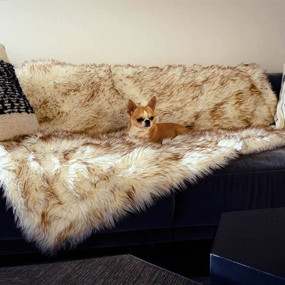 HKM-5113661 Machine Washable Waterproof Couch Bed for Dogs - White with Brown Accents