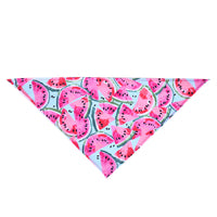 HKM-5120189 Summer Donut Triangle Scarf for Pets - Soft Cotton Fabric, Machine Washable, Ideal for Daily Wear and Outdoor Activities