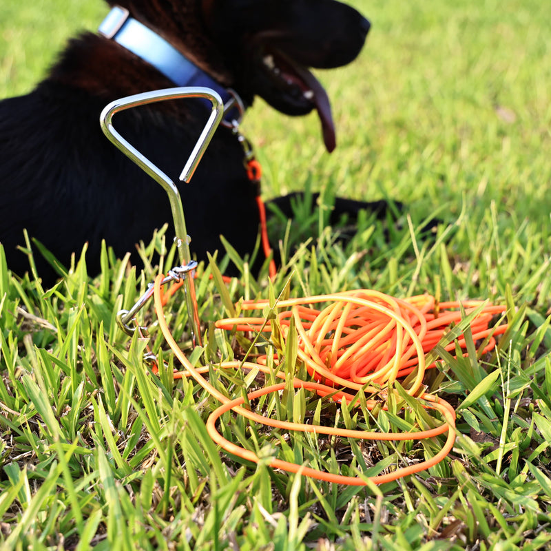 HKM-5122365 Ground Stake Fixed Dog Leash with 30 Feet of Freedom for Secure Outdoor Play