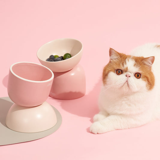 HKM-5128509 Elevated Ceramic Cat Bowl with Oblique Mouth Design for Improved Comfort and Spill Prevention