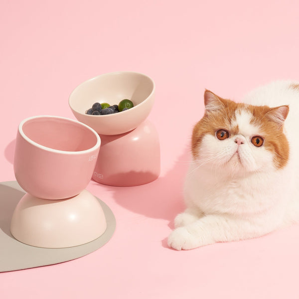 HKM-5128509 Elevated Ceramic Cat Bowl with Oblique Mouth Design for Improved Comfort and Spill Prevention