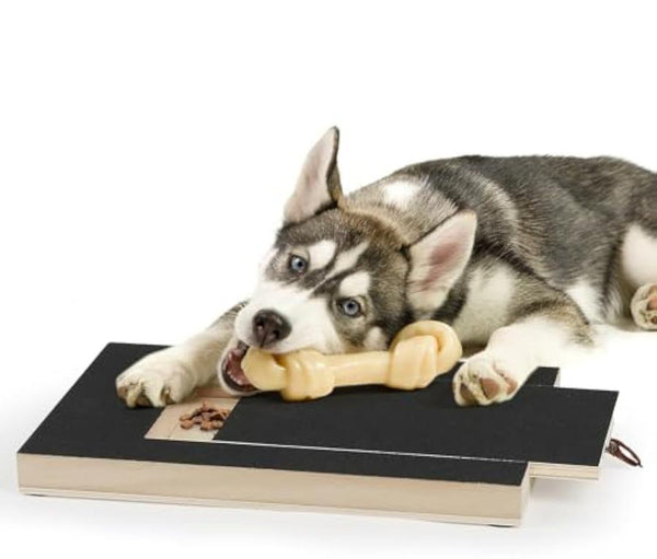 HKM-513235 Gentle Dog Nail Scratch Board with Treat Drawer for Easy Nail Trimming
