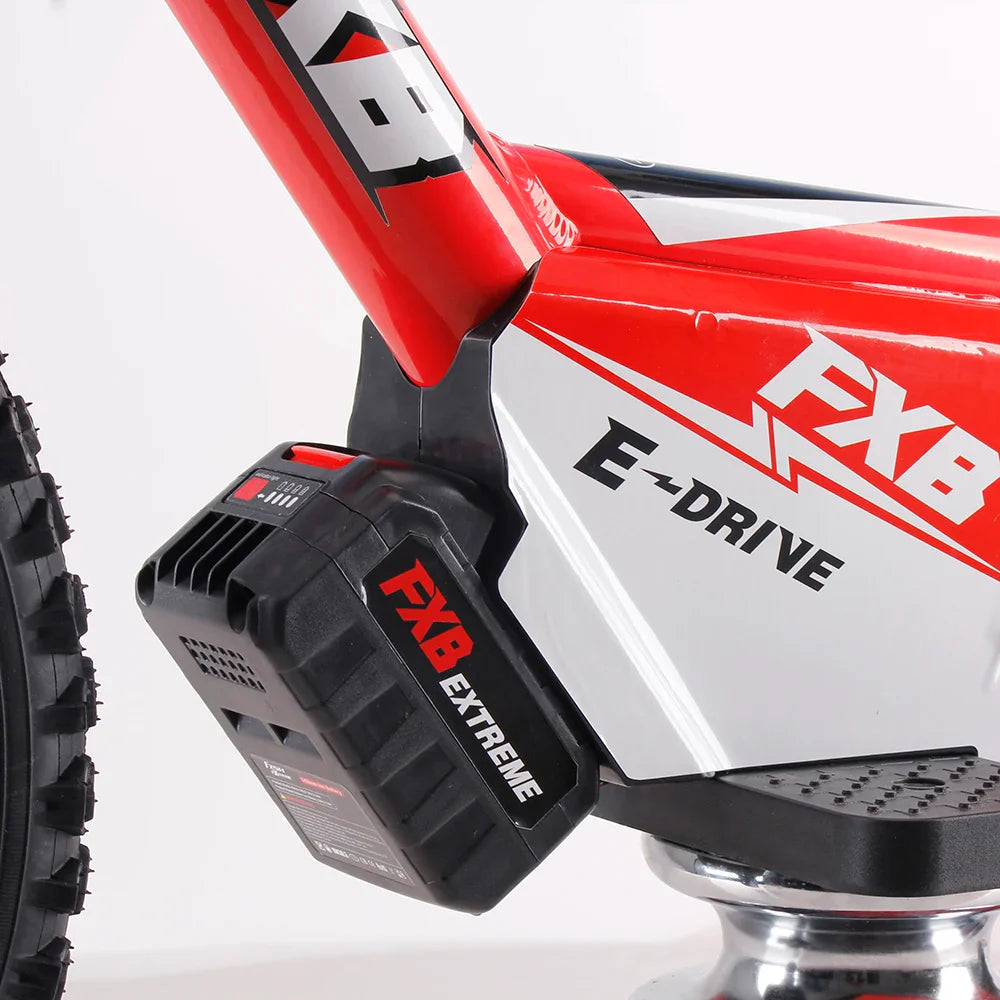HKM-513299 250W 36V Electric Balance Bike for Kids - Aluminum Alloy Frame, 16" Wheels, Disc Brakes, Integrated Battery