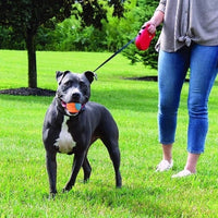HKM-513491 Pet Toy Dog Molar Long Lasting Sounding Training Ball