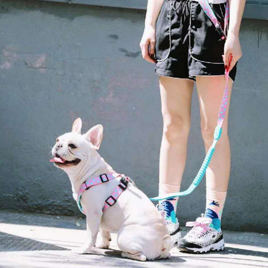 HKM-5136701 X-type Nylon Dog Chest Strap for Comfortable Pet Walking – Available in Bobby, Sunrise, Mountain and River Mark, and Florida Colors