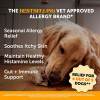 HKM-5139901 Omega 3 Fish Oil Chews for Dogs - Allergy Relief, Itch & Shedding Support, 120 Count Chews for Healthy Skin & Coat