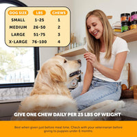 HKM-5139901 Omega 3 Fish Oil Chews for Dogs - Allergy Relief, Itch & Shedding Support, 120 Count Chews for Healthy Skin & Coat