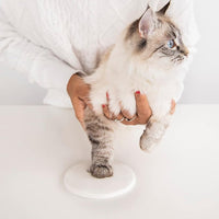 HKM-5141309 Pet Paw Print Ink Pad Set for Cats and Dogs - Includes 2 Ink Pads, Mold, Ribbon, and Text Printing Plate