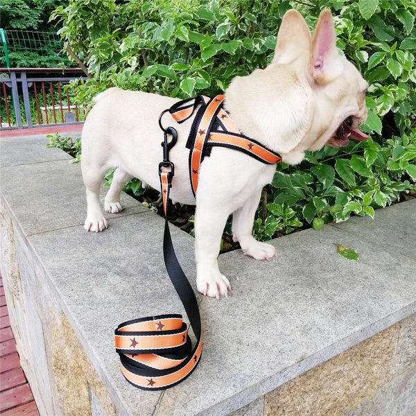 HKM-5160381 XINGX Nylon Pet Chest Strap with Traction Rope - Adjustable and Comfortable Fit in Red, Yellow, Orange