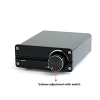 HKM-516179 100W Digital Subwoofer Speaker with TPA3116 Mono Amplifier for Home Audio Systems