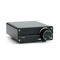 HKM-516179 100W Digital Subwoofer Speaker with TPA3116 Mono Amplifier for Home Audio Systems