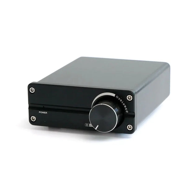 HKM-516179 100W Digital Subwoofer Speaker with TPA3116 Mono Amplifier for Home Audio Systems