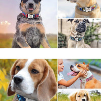 HKM-516371 Personalized Red Polka Dot Dog Collar with Engraved Pet Name and Phone Number