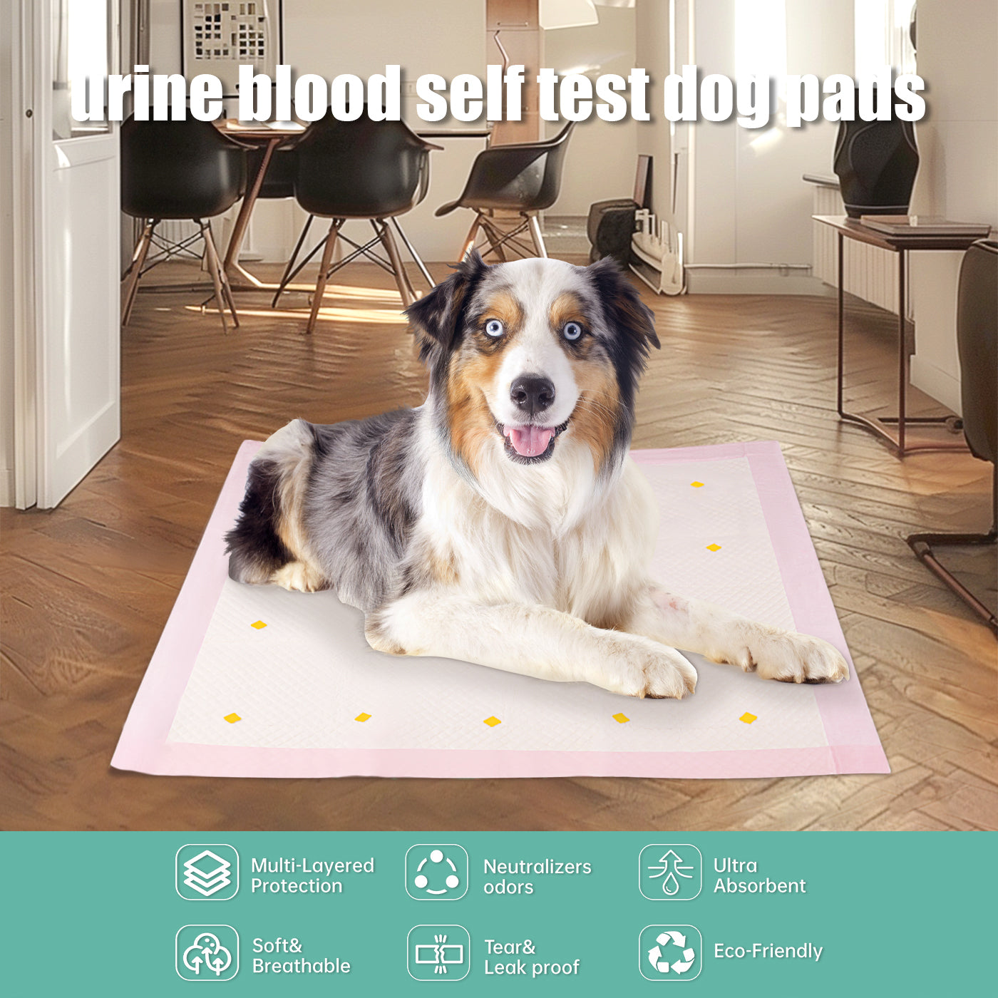 HKM-5164733 Absorbent Dog Detection Urine Pads - Pack of 10 for Easy Cleanup