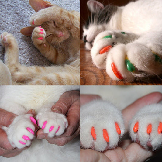 HKM-5164861 Cat Nail Caps - Silicone Claw Protectors in Multiple Colors, 20 Pieces Per Bag, Sizes XS-L