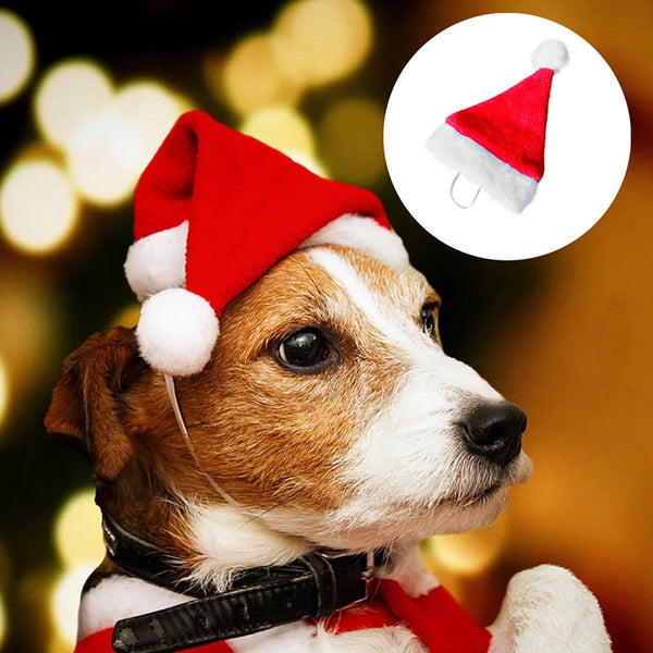 HKM-5165245 Plush Holiday Pet Hat with Windproof Design for Christmas Celebrations