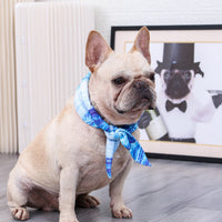 HKM-5167421 Cooling Cat Ice Scarf for Pets - Striped Blue Polyester, Multiple Sizes Available