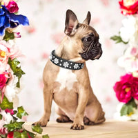 HKM-5168317 Rhinestone Flower Pattern PU Leather Dog Collar for Small and Medium Pets